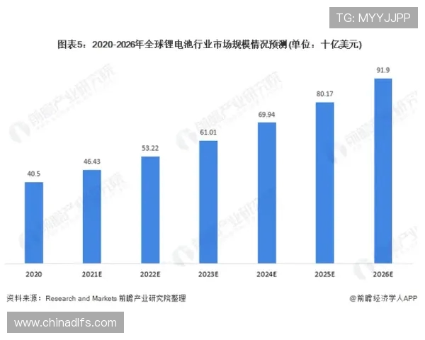 法甲外援在比赛中的关键技术数据分析报告